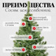 Миниатюра изображения товара Сосна искусственная Erbis Sosna 150