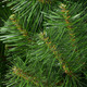 Миниатюра изображения товара Сосна искусственная Erbis Sosna сибирская 120