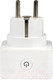 Миниатюра изображения товара Умная розетка EKF Сonnect Wi-Fi / RCS-1-WF (белый)