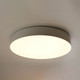 Миниатюра изображения товара Потолочный светильник Feron Simple Matte AL6200 / 48070