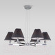 Миниатюра изображения товара Люстра Евросвет 60136/6 (хром/графит)