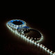 Миниатюра изображения товара Светодиодная лента Gauss Basic BT002