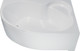 Миниатюра изображения товара Ванна акриловая Triton Мари 170x110 L