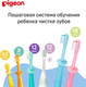 Миниатюра изображения товара Набор зубных щеток Pigeon Training Toothbrush Set Step 4 18+ / 1021096 (2шт, голубой)