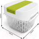 Миниатюра изображения товара Контейнер Rotho Fresh Dynamic / 1025605070 (лайм)
