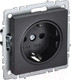 Миниатюра изображения товара Розетка IEK Brite BR-R11-16-K02 (черный)