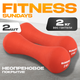 Миниатюра изображения товара Набор гантелей Sundays Fitness IR92004-D (2х2кг, красный)