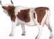 Миниатюра изображения товара Фигурка коллекционная Konik Симментальская корова / AMF1063