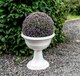 Миниатюра изображения товара Ваза садовая Gardenplast Тюльпан / 84000 (белый)