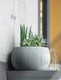 Миниатюра изображения товара Кашпо Prosperplast Flower Pot / DKB150-422U (серый)