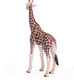 Миниатюра изображения товара Фигурка коллекционная Konik Жираф Самец / AMW2004