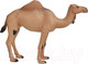 Миниатюра изображения товара Фигурка коллекционная Konik Одногорбый верблюд / AMW2056