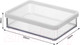 Миниатюра изображения товара Емкость для хранения Rotho Loft Premium / 1160990000 (прозрачный/белый)