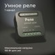 Миниатюра изображения товара Умное реле Elektrostandard 76006/00 (черный)