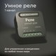 Миниатюра изображения товара Умное реле Elektrostandard 76006/00 (черный)