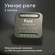 Миниатюра изображения товара Умное реле Elektrostandard 76007/00 (черный)