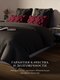 Миниатюра изображения товара Подушка для сна Espera DeLux wine 3D ЕС-5797 (45x65)