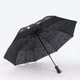 Миниатюра изображения товара Зонт складной Rain Berry 734-7344 (черный)