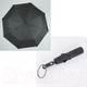 Миниатюра изображения товара Зонт складной Rain Berry 734-7371 (черный)