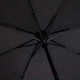 Миниатюра изображения товара Зонт складной Rain Berry 734-7371 (черный)