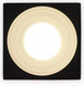 Миниатюра изображения товара Точечный светильник Ambrella TN1316 SBK/FR (черный песок/белый матовый)