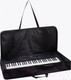 Миниатюра изображения товара Чехол для синтезатора AMC Baltic Клв1-100-43-15см
