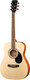 Миниатюра изображения товара Электроакустическая гитара Parkwood PF51E-WBAG-OP (с чехлом)