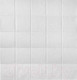 Миниатюра изображения товара Панель ПВХ Grace Самоклеящаяся Квадрат белый (700x700x4мм)