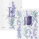 Миниатюра изображения товара Набор папок Erich Krause Lavender / 55106 (4шт, ассорти)