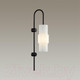 Миниатюра изображения товара Бра Odeon Light Pimpa 5017/1W