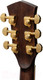 Миниатюра изображения товара Акустическая гитара Parkwood P820ADK-WCASE-NAT (с футляром)