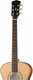 Миниатюра изображения товара Электроакустическая гитара Parkwood P680-WCASE-NAT (с футляром)