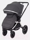 Миниатюра изображения товара Детская универсальная коляска MOWbaby Tilda 2 в 1 / MB064 (графит)