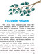 Миниатюра изображения товара Книга АСТ Голубая чашка (Гайдар А.П.)