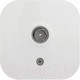 Миниатюра изображения товара Розетка Legrand Quteo 782215 (белый)