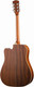 Миниатюра изображения товара Электроакустическая гитара Parkwood P660-WCASE-NAT (с футляром)