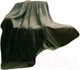 Миниатюра изображения товара Плед AlViTek Soft Plush акриловая микрофибра 200x220 / 200/008-sp