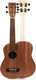 Миниатюра изображения товара Укулеле Hampi KBR1
