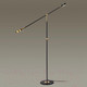 Миниатюра изображения товара Торшер Odeon Light Denzel 4321/20FL