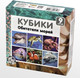 Миниатюра изображения товара Развивающая игра Десятое королевство Кубики Обитатели морей / 00724