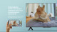 Миниатюра изображения товара Телевизор Xiaomi Mi TV P1 55 L55M6-6AEU/ELA4612EU
