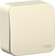 Миниатюра изображения товара Выключатель Systeme (Schneider) Electric Blanca BLNVA106012