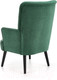 Миниатюра изображения товара Кресло мягкое Halmar Delgado (темно-зеленый/черный)