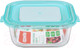 Миниатюра изображения товара Контейнер Appetite SL520SLB (голубой)