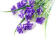 Миниатюра изображения товара Искусственный букет Волшебная страна Дельфиниум / 003826