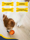 Миниатюра изображения товара Игрушка для животных Fancy Pets Бомбочка для кормления / FPT2