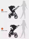 Миниатюра изображения товара Детская универсальная коляска MOWbaby Tilda 2 в 1 / MB064 (черный)