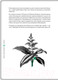 Миниатюра изображения товара Книга Питер Самогон (Пучков Д.)