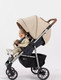 Миниатюра изображения товара Детская прогулочная коляска Rant Vega 2023 / RA057 (бежевый)