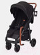 Миниатюра изображения товара Детская прогулочная коляска Rant Vega 2023 / RA057 (черный)